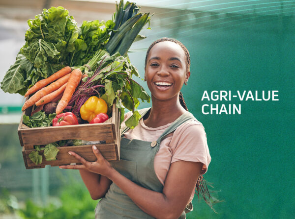 Agri-value chain 1012x759